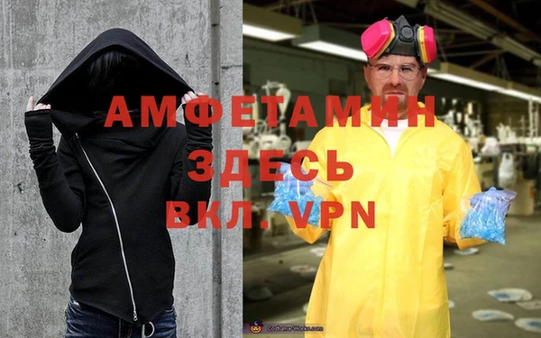 стаф Алексин