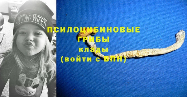 стаф Алексин