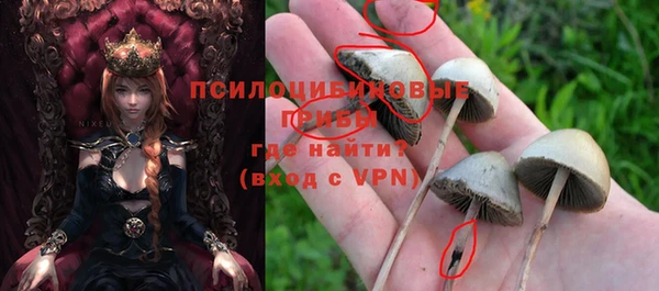 стаф Алексин