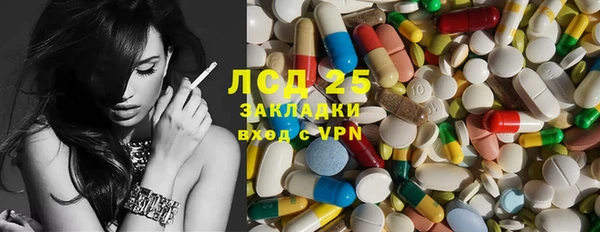 стаф Алексин