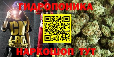 jwh Моздок