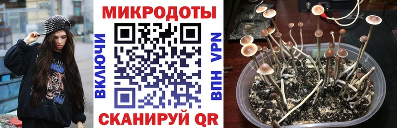 Галлюциногенные грибы Magic Shrooms  Морозовск 