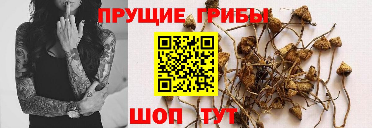Псилоцибиновые грибы Magic Shrooms Морозовск