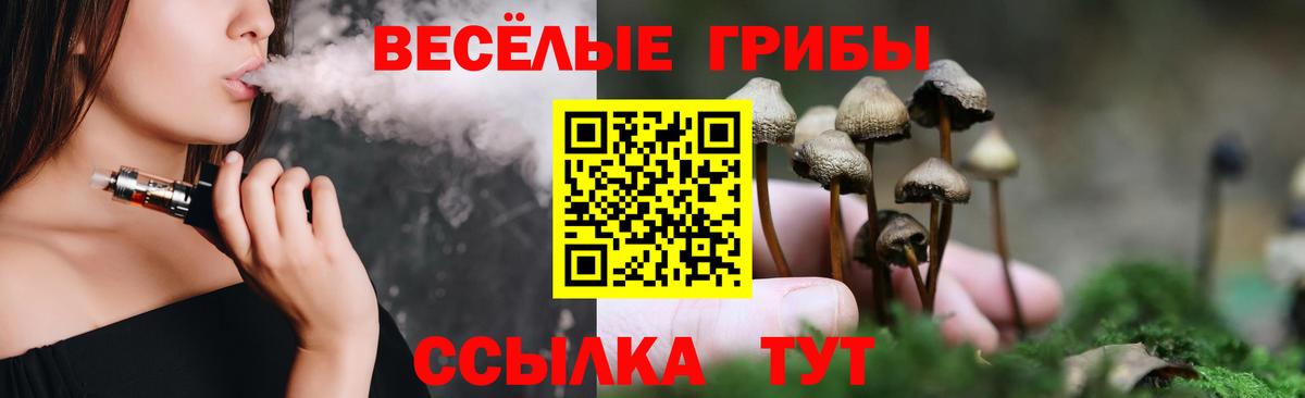 Морозовск  Галлюциногенные грибы прущие грибы  Вход с VPN 